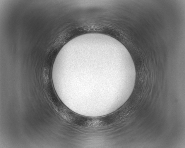 X0000053110695200508081226