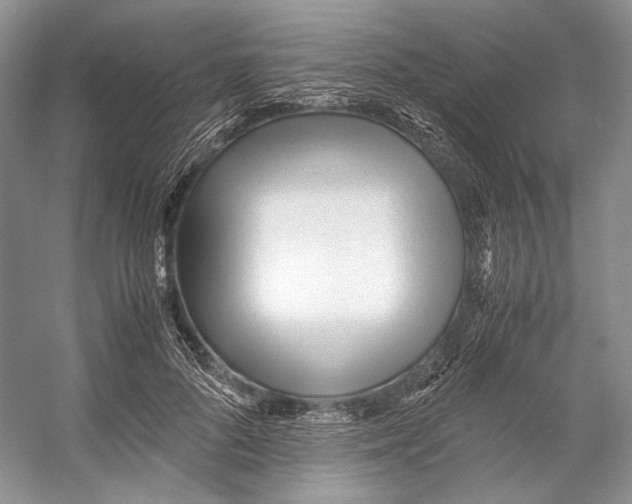 X0000053110696200508081226