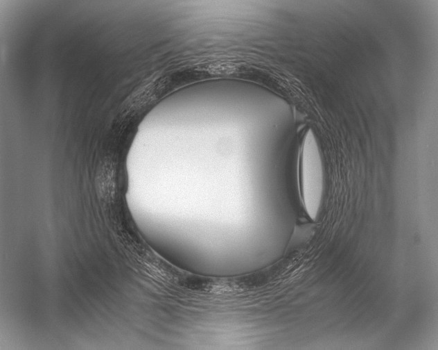 X0000053110697200508081226