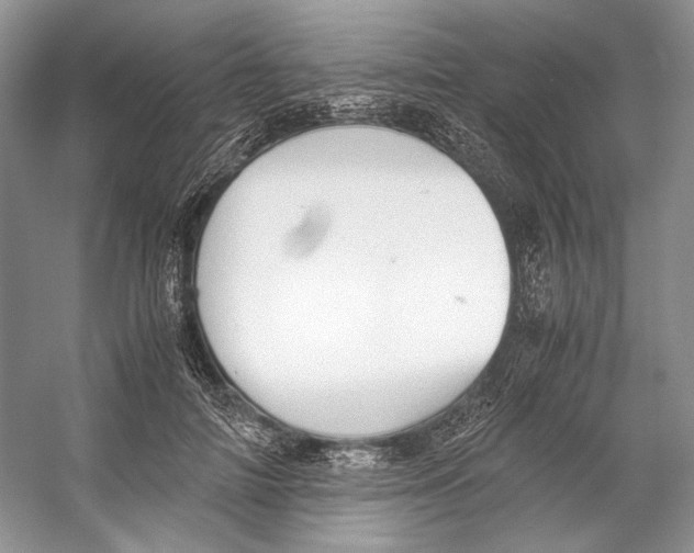 X0000053110698200508081226