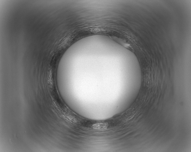 X0000053110700200508081225