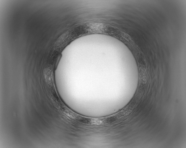 X0000053110701200508081225