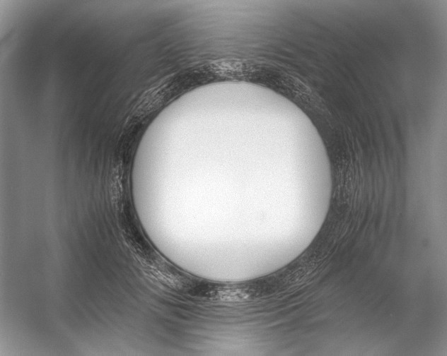 X0000053110702200508081225