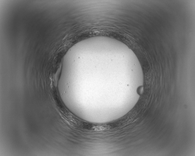 X0000053110703200508081225