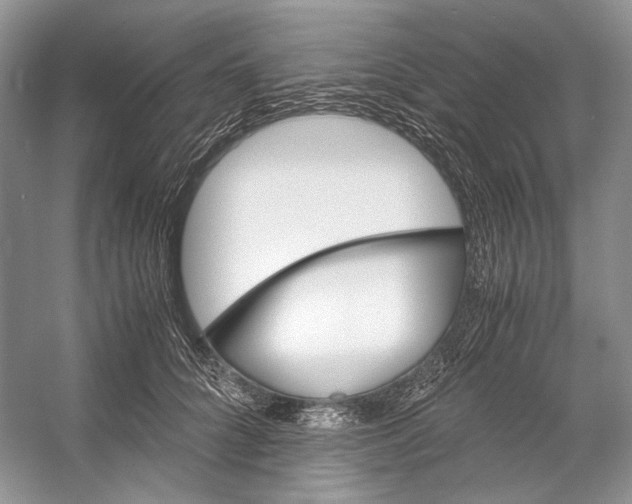 X0000053110704200508081225