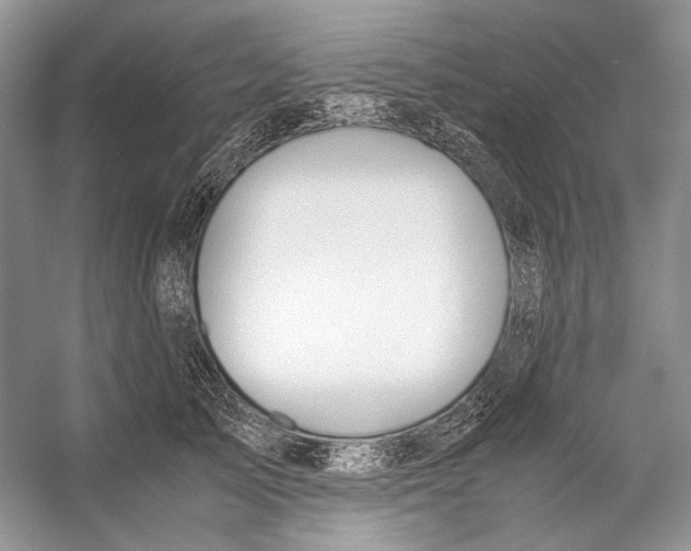 X0000053110705200508081225