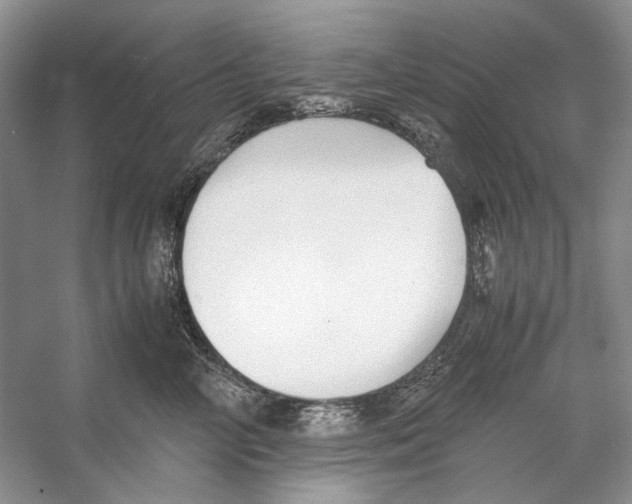 X0000053110714200508081225