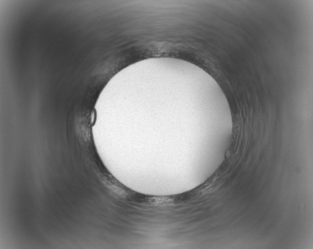 X0000053110719200508081225