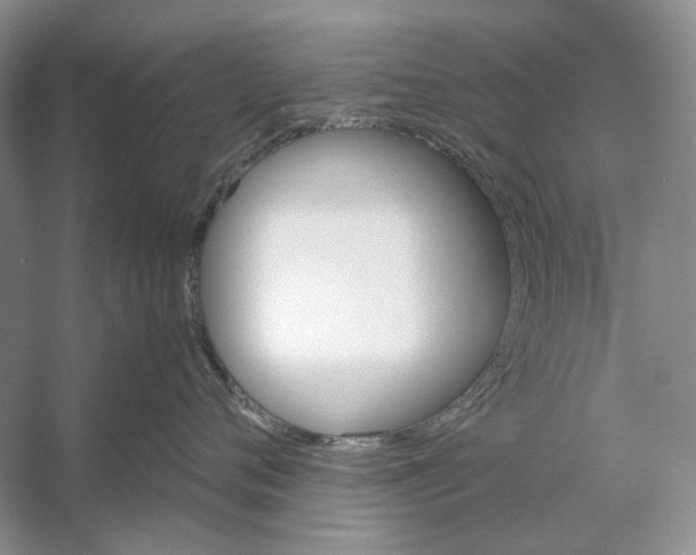 X0000053110720200508081225