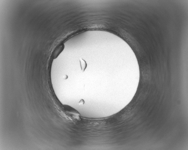 X0000053110721200508081224