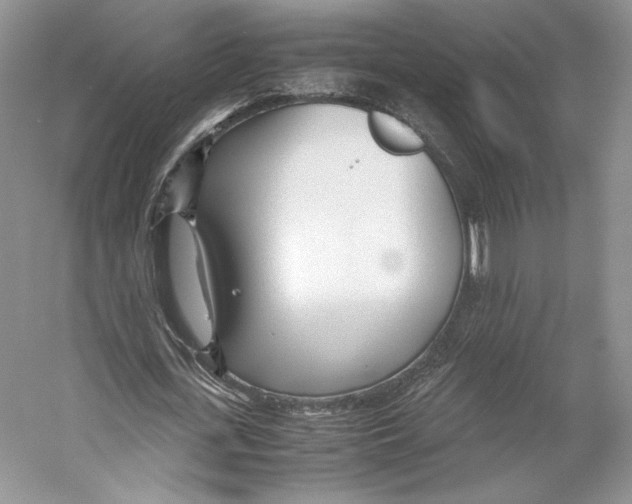 X0000053110723200508081224