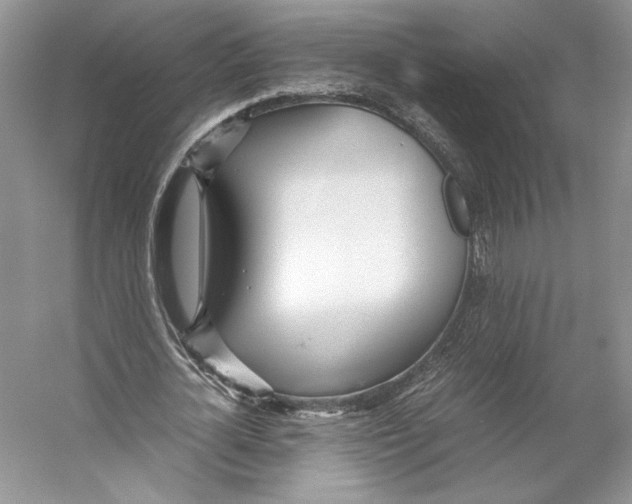 X0000053110724200508081224