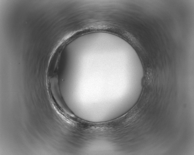 X0000053110726200508081224