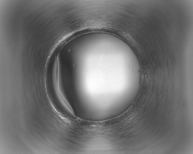 X0000053110728200508081224