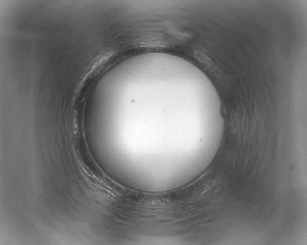 X0000053110731200508081224