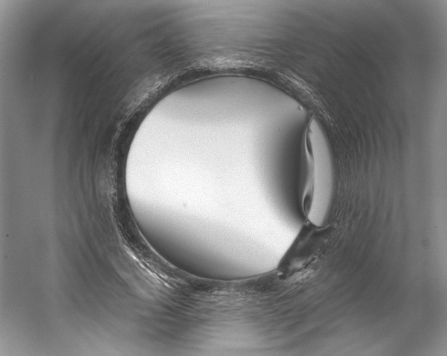 X0000053110732200508081225