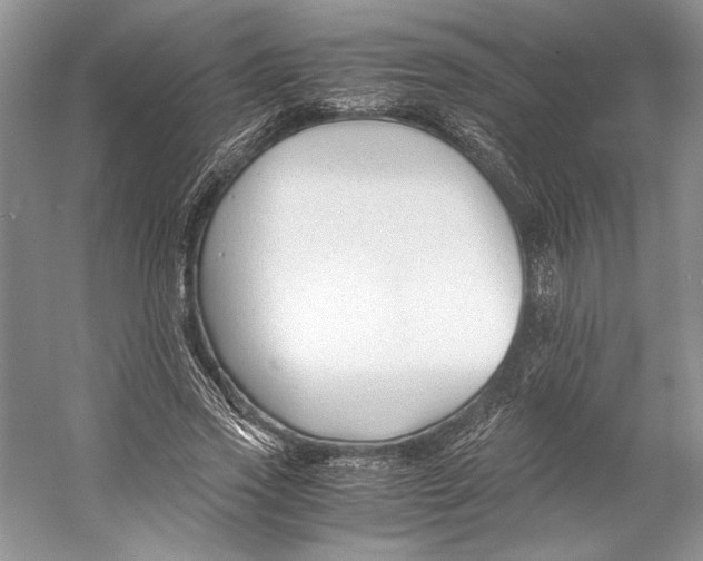 X0000053110733200508081225