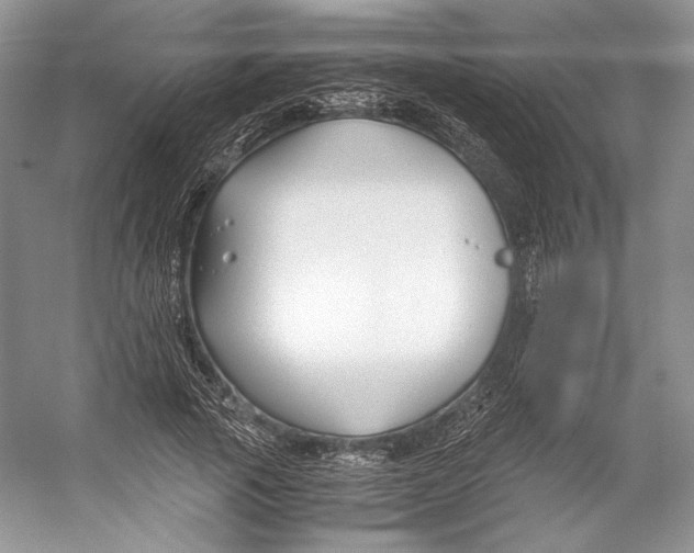 X0000053110737200508081225