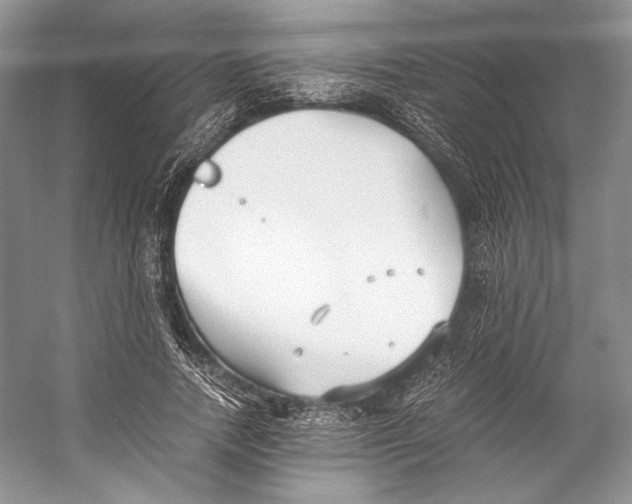 X0000053110738200508081225