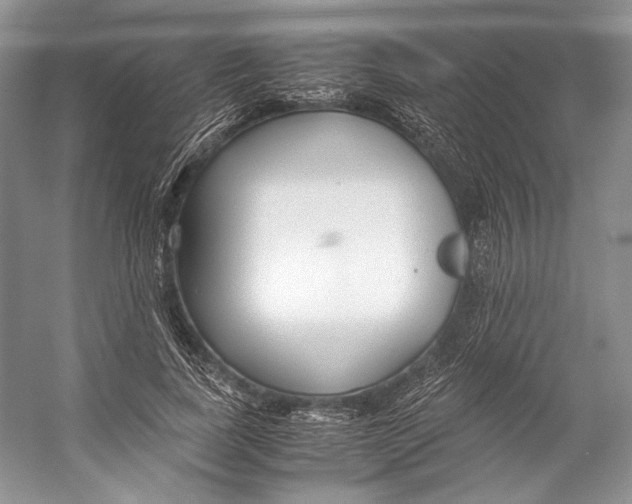 X0000053110739200508081225