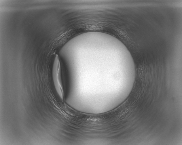 X0000053110741200508081225