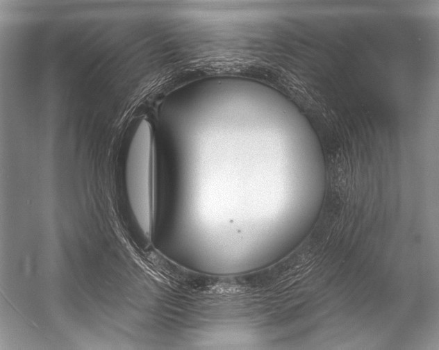 X0000053110742200508081225