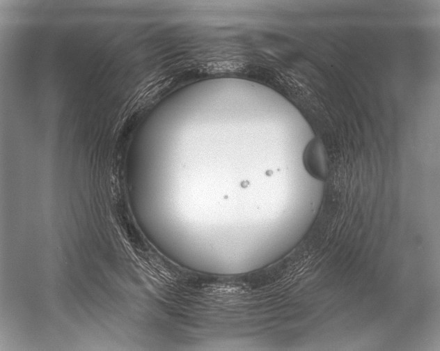 X0000053110743200508081225