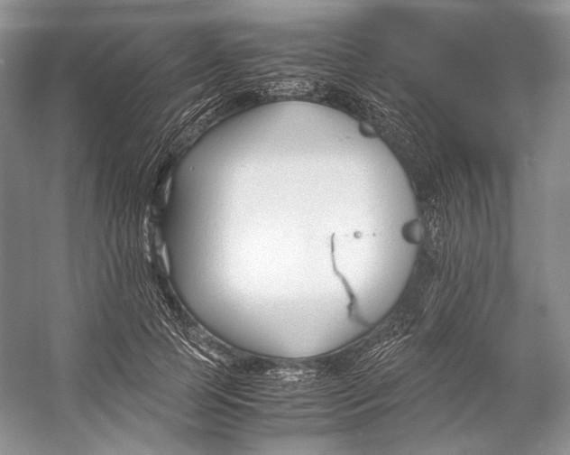 X0000053110745200508081225