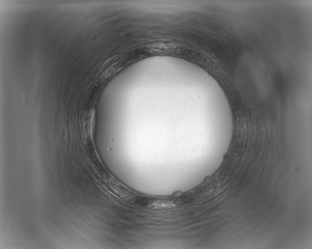 X0000053110749200508081225