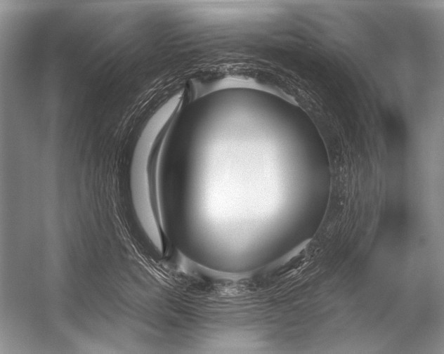 X0000053110750200508081225