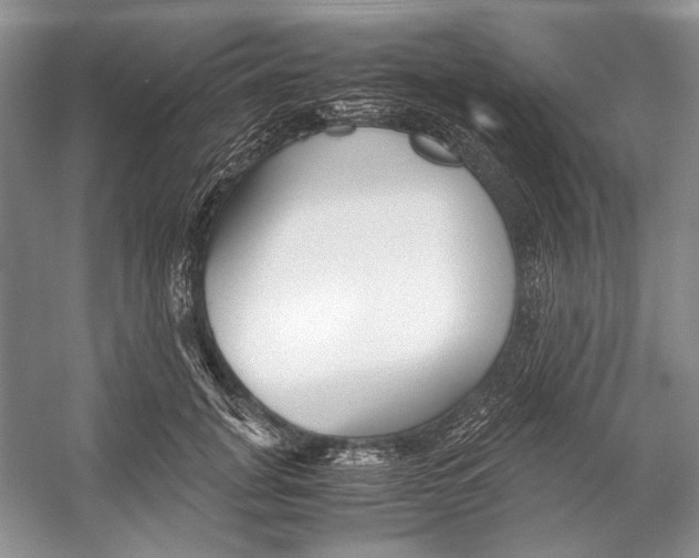 X0000053110751200508081225