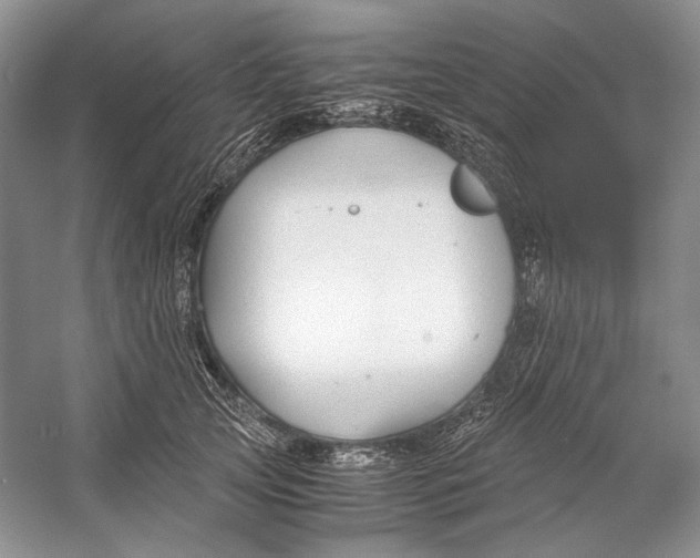 X0000053110753200508081225