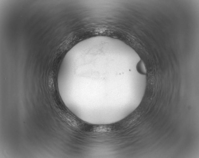 X0000053110754200508081225