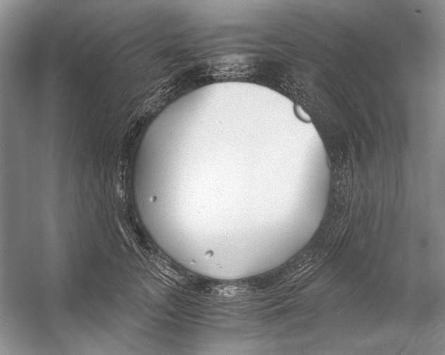 X0000053110755200508081225