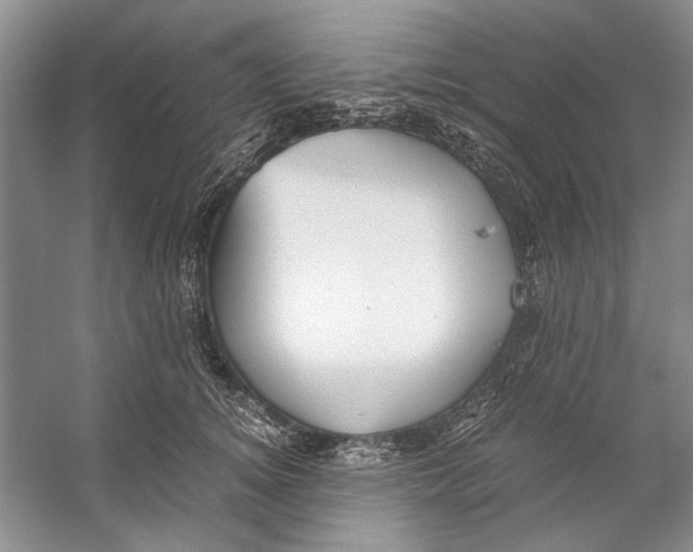 X0000053110756200508081225