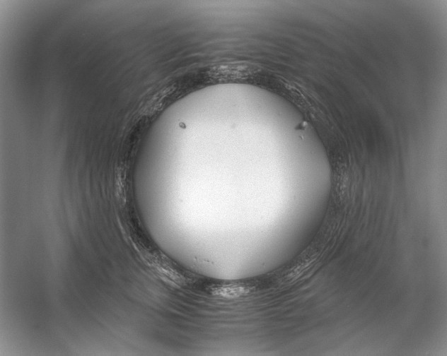 X0000053110759200508081225