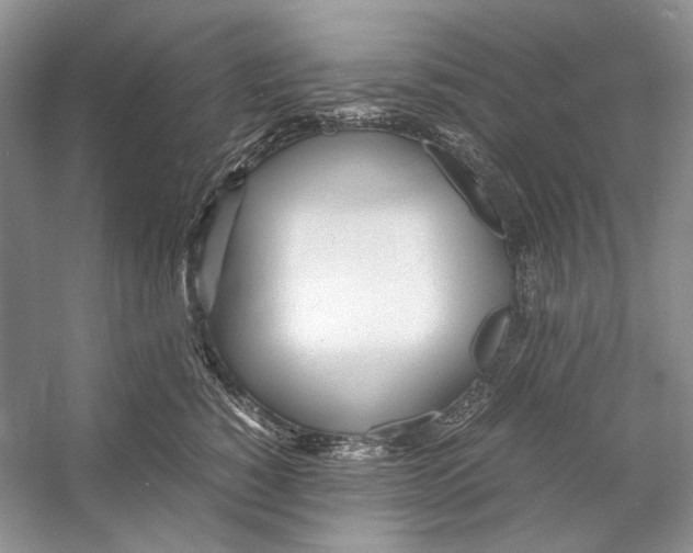 X0000053110760200508081225