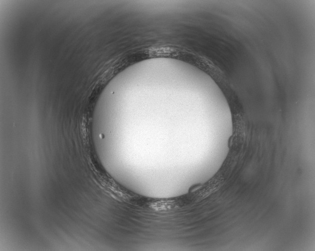 X0000053110761200508081225