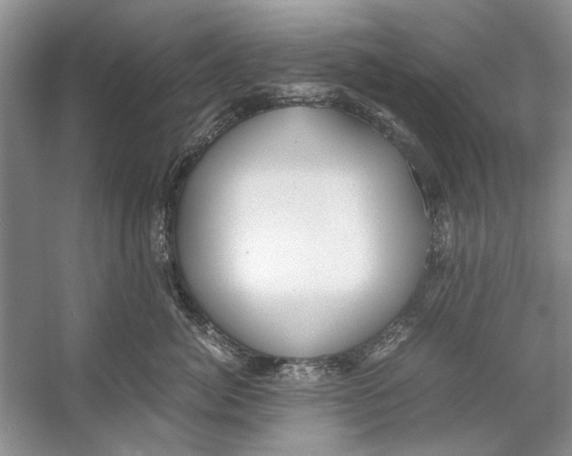 X0000053110764200508081225