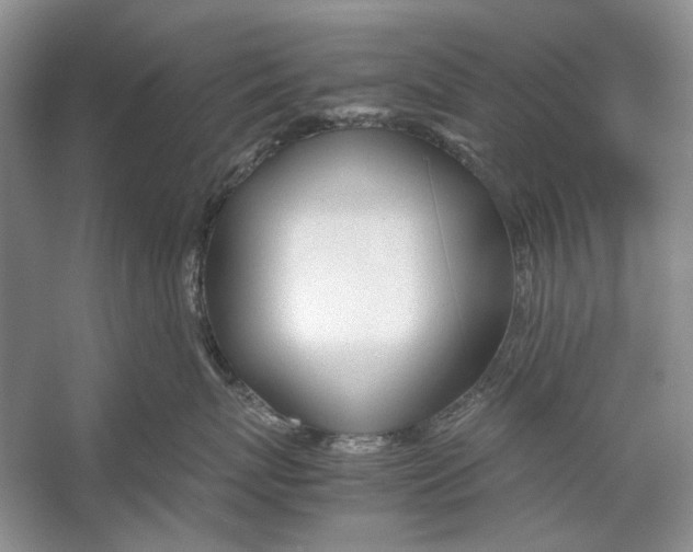 X0000053110767200508081225