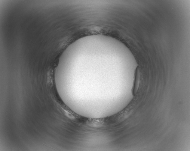 X0000053110768200508081225