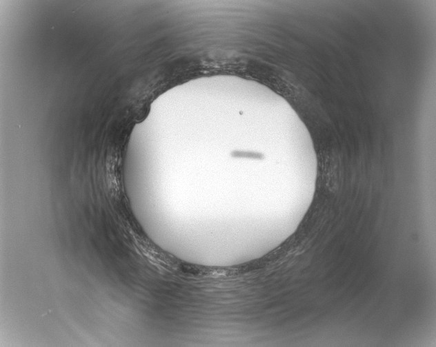 X0000053110770200508081224