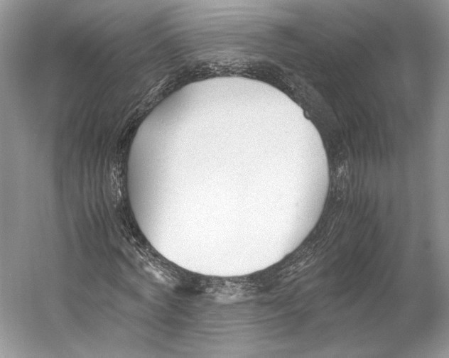 X0000053110772200508081224