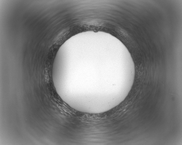 X0000053110774200508081224