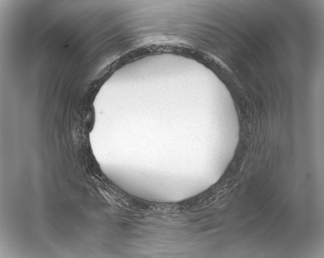 X0000053110775200508081224