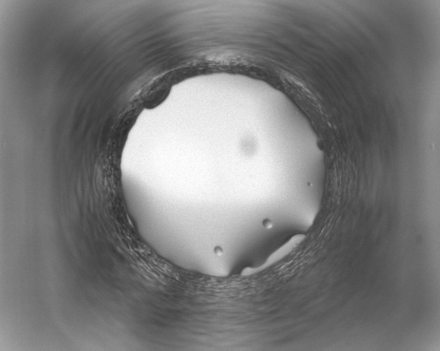 X0000053110776200508081224