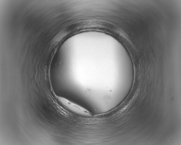 X0000053110777200508081224