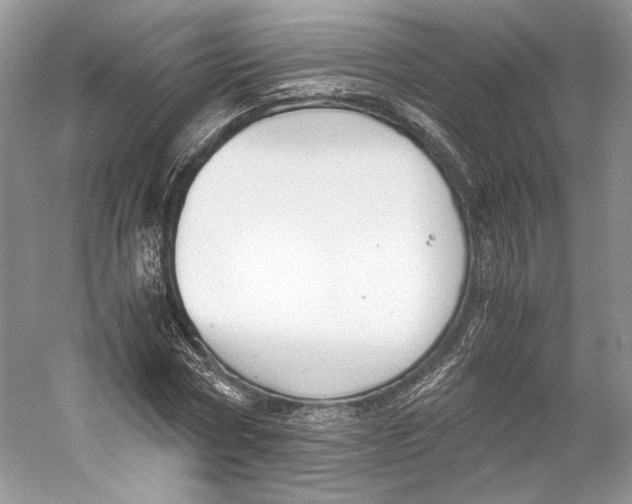 X0000053110778200508081224