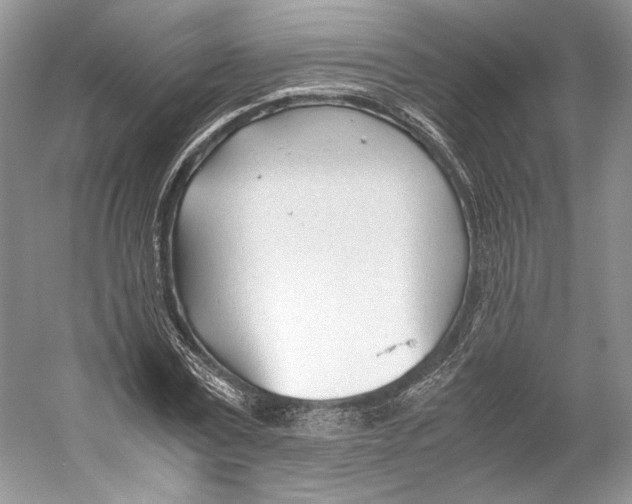 X0000053110779200508081224