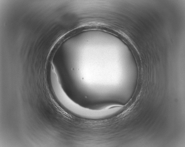 X0000053110783200508081224